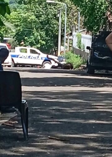 Persona muere tras caer de un árbol que estaba podando en San Miguel