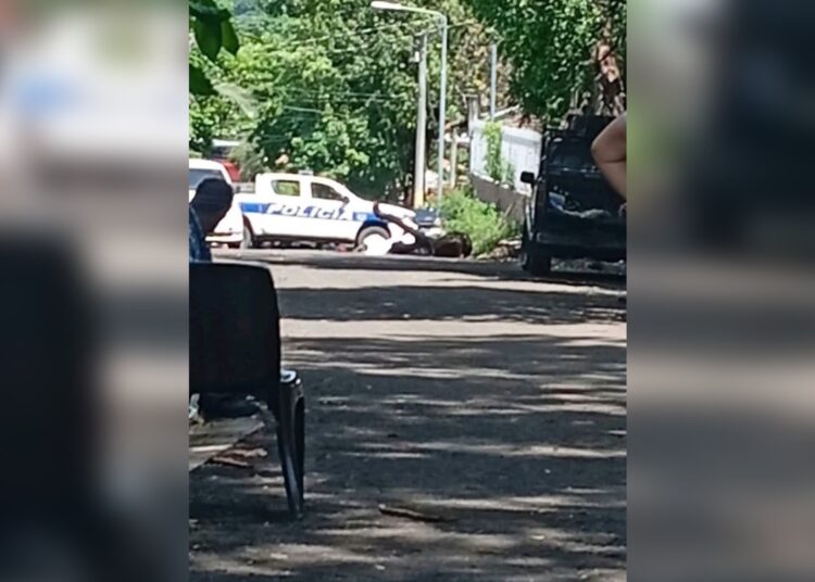 Persona muere tras caer de un árbol que estaba podando en San Miguel